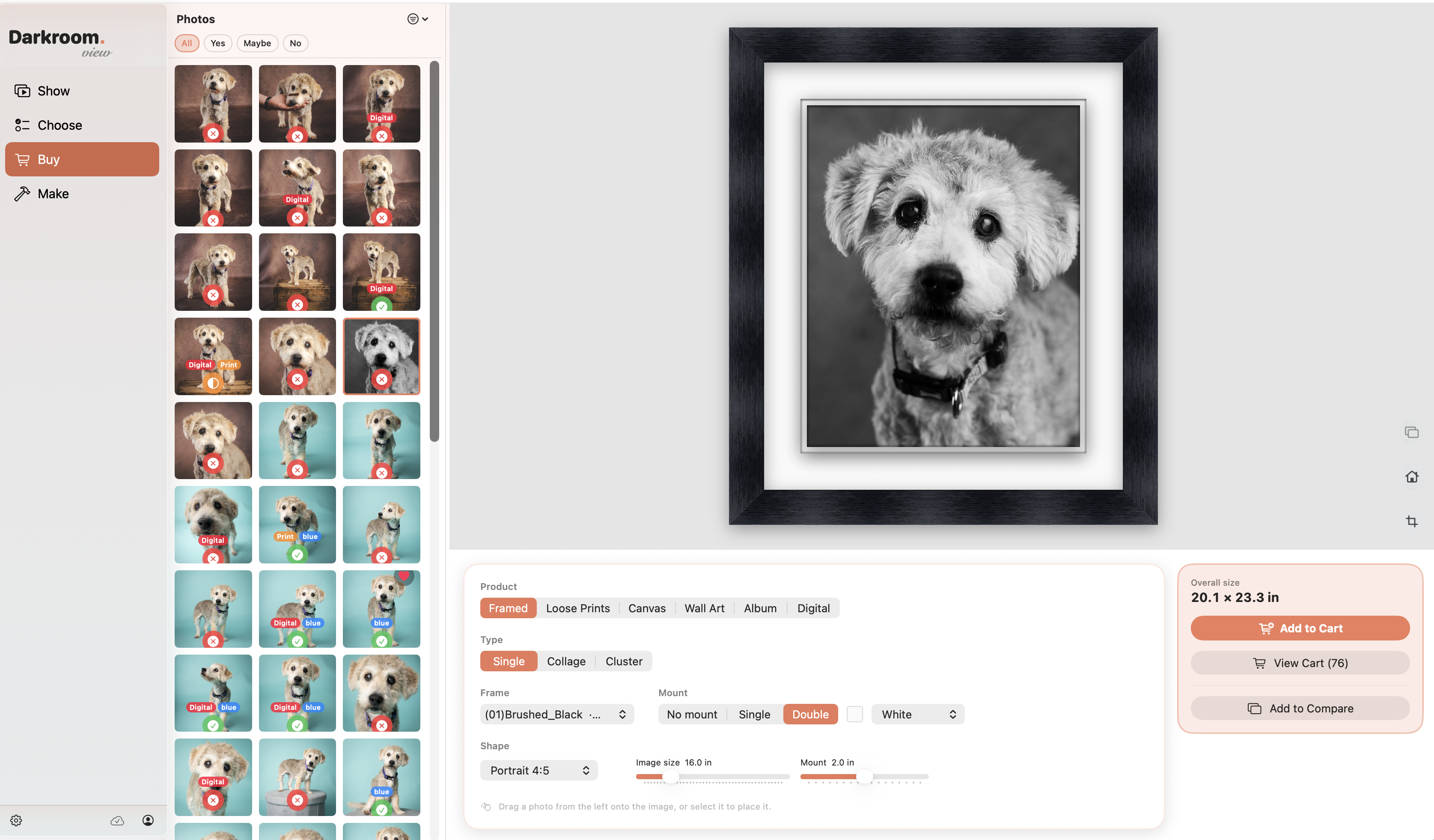 The Buy screen in darkRoom.view: a black-and-white dog portrait designed in a brushed-black frame with a double mount, beside the photo grid, product options and cart.